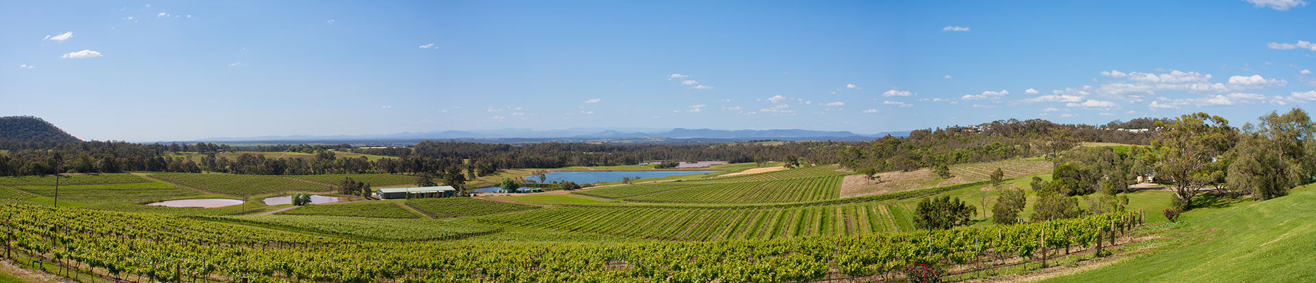 hunter valley wine tour cost